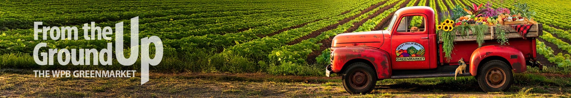 From the Ground Up-The West Palm Beach GreenMarket