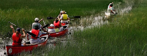 People on a Guided Canoeing Tour