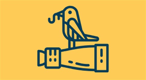 Bird standing on binoculars illustration